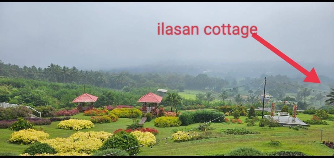 Ilasan Cottage. Chalet Tomohon